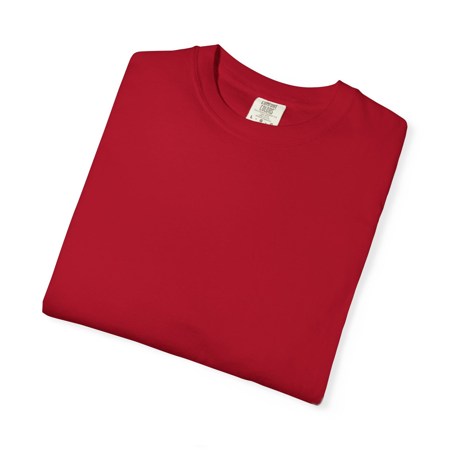 Born to Fly Conquer Any Terrain | Unisex T-Shirt